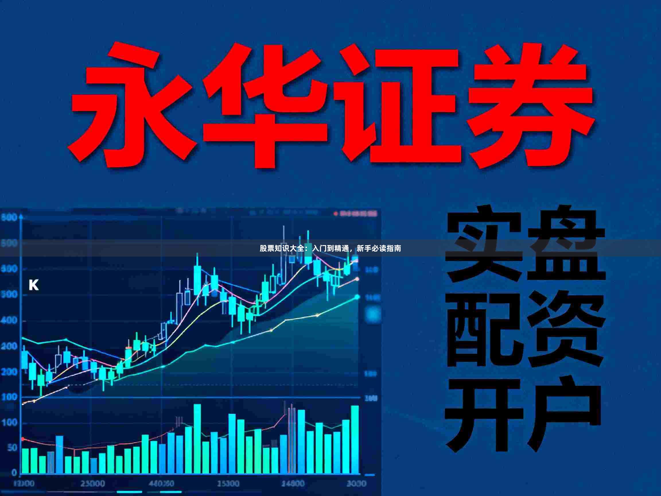 股票知识大全：入门到精通，新手必读指南