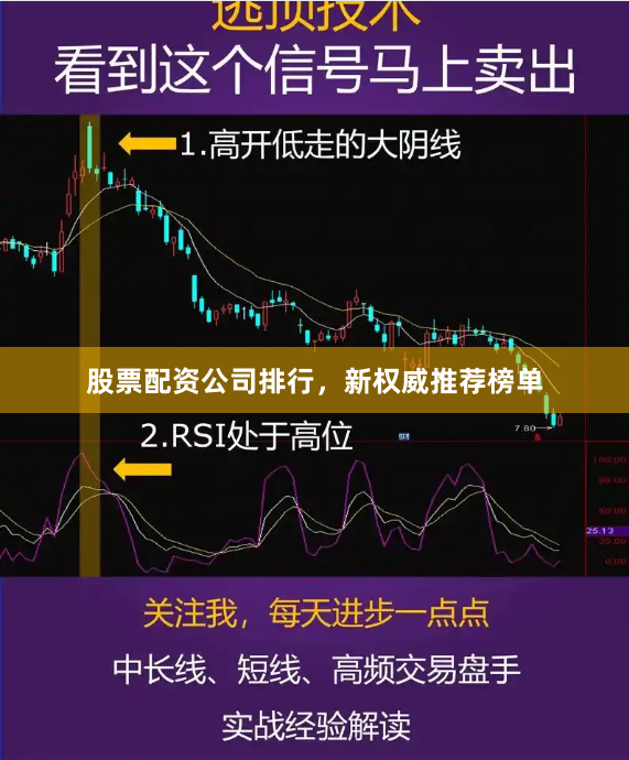 股票配资公司排行，新权威推荐榜单