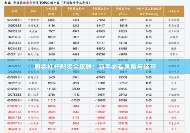 股票杠杆配资全攻略:新手必看风险与技巧